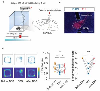 A preclinical study of deep brain stimulation in the ventral tegmental area for alleviating positive psychotic-like behaviors in mice